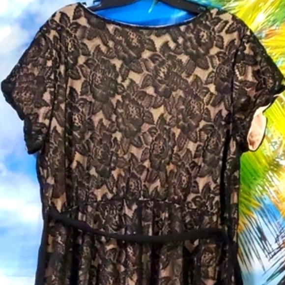 Love squared V neck Short sleeves stretch Lace Belted dress size 2X - Picture 2 of 4